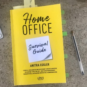 Home Office Survival Guide Buchbesprechung und Lesetipp